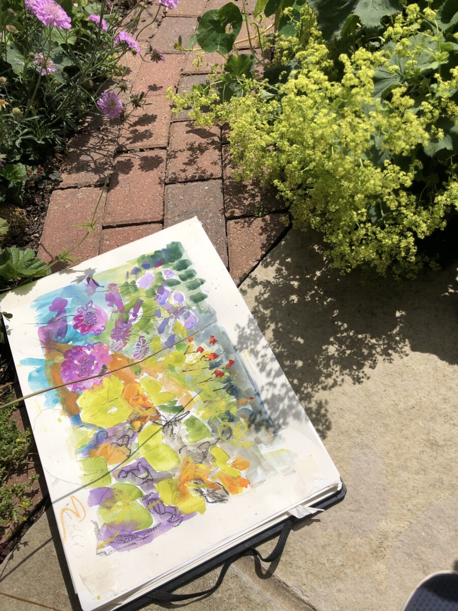 Meet the Artist - Judy Tate  -Soft pastels and my garden!