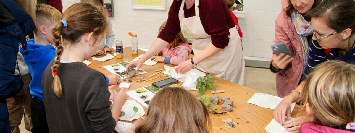 AiP’s winter exhibition ‘A Hive of Creativity’