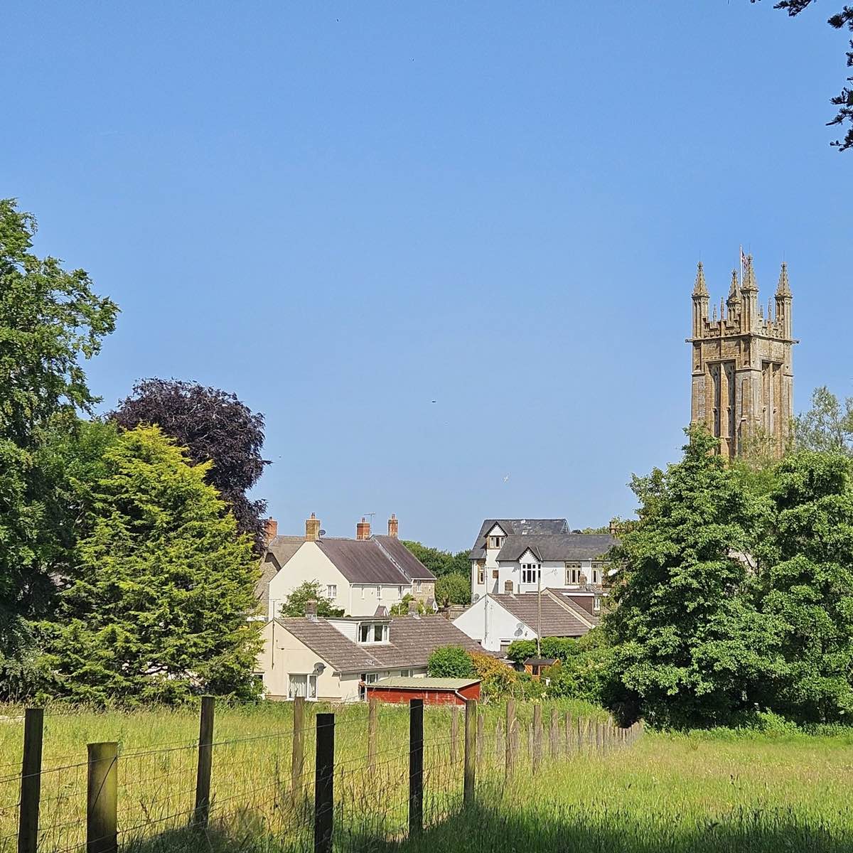 Cattistock1