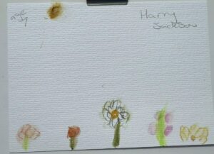 Harry jackson