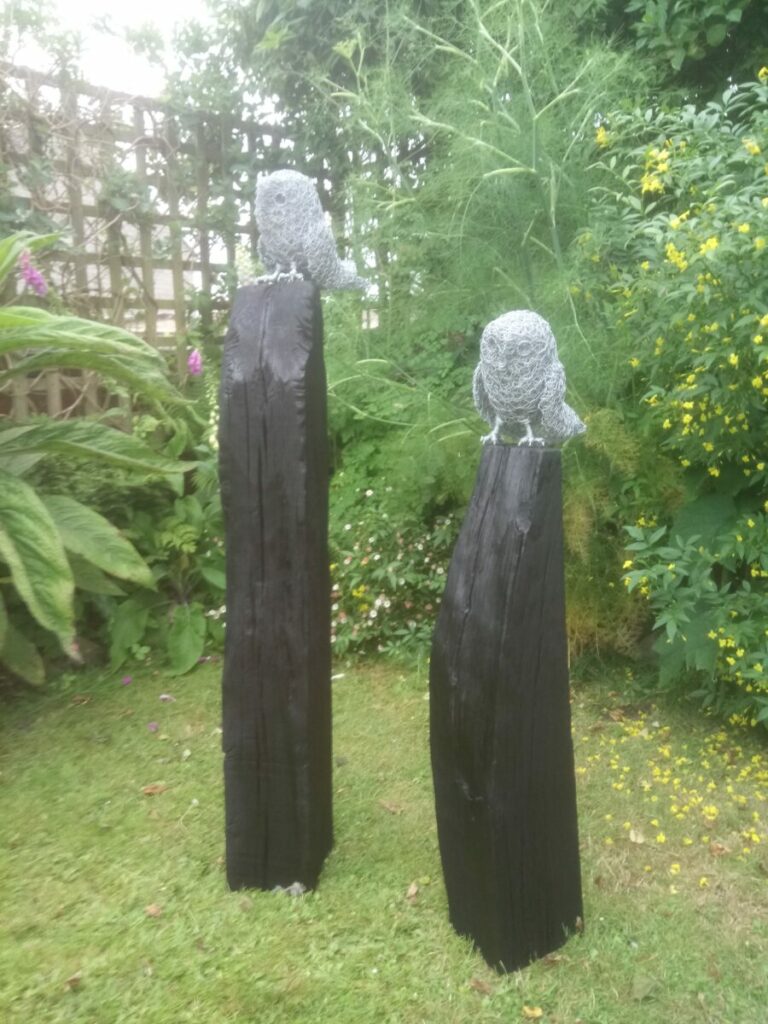 David metcalf dsc 0799