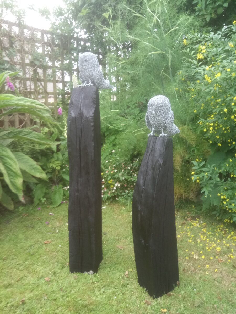 David metcalf dsc 0799