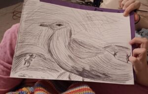 Tabby (11) seagull in biro