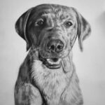 36d5fc30 c8c5 447c baae 2871faaca6ed