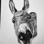 710949df 20bb 4423 8bfd a3d951f0e45f