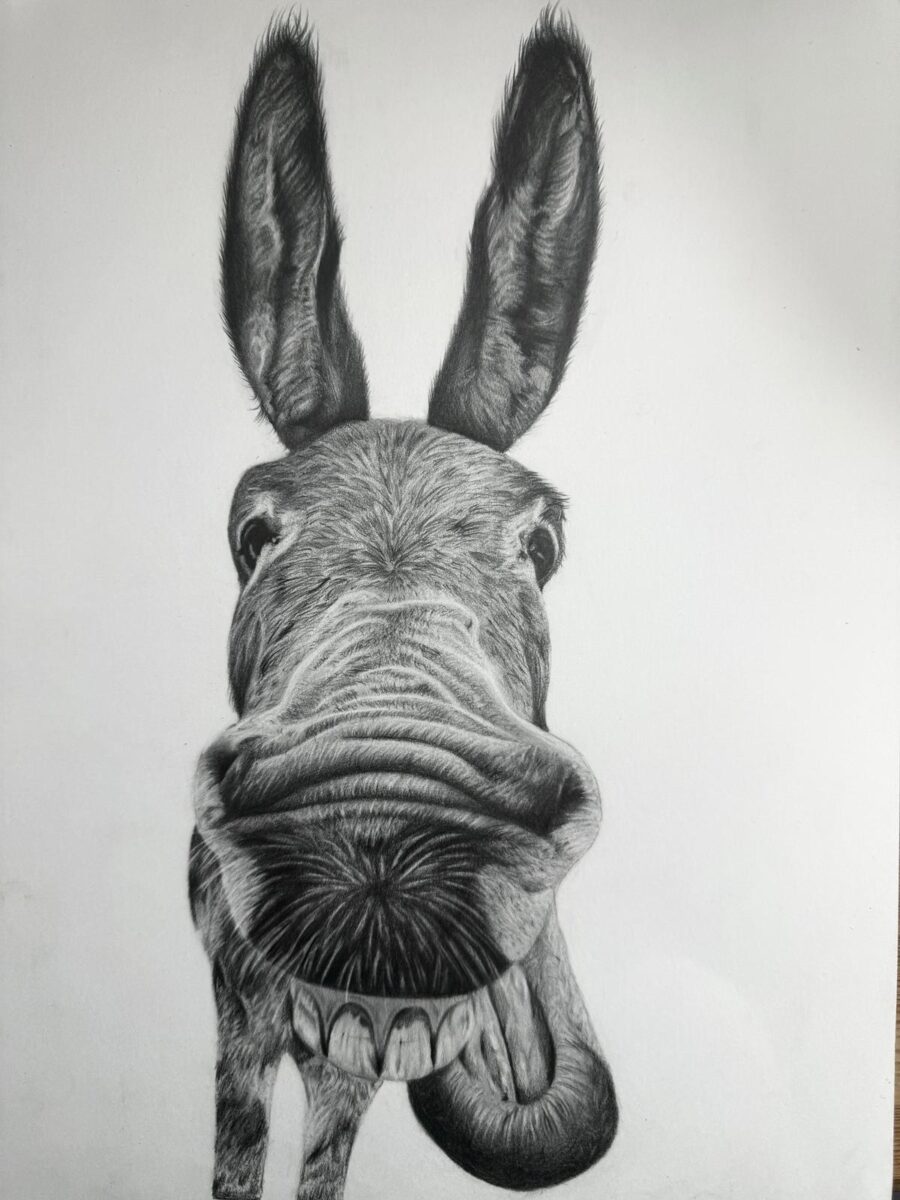 Art at PiPs Cafe on the Great Field