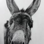 77c04353 9a18 4697 bdac 83e512075842