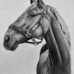 9c3b62b0 d812 415b a7ea c59cacc5deab