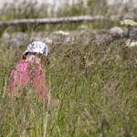 2025 05 31 10.51.53 copy