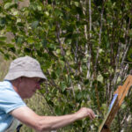 2025 05 31 12.51.30 copy