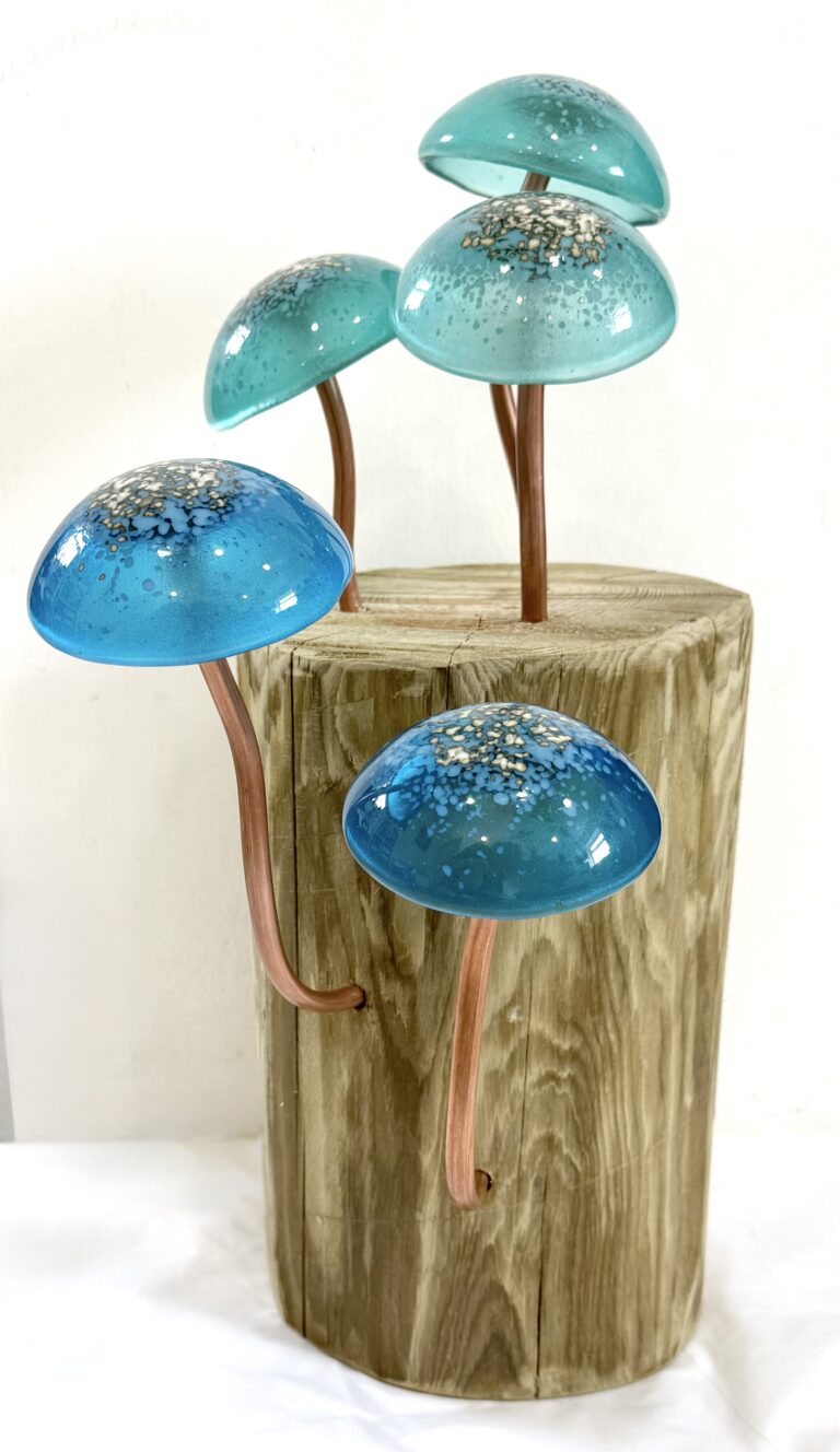 Maree Dethick Jones IMG