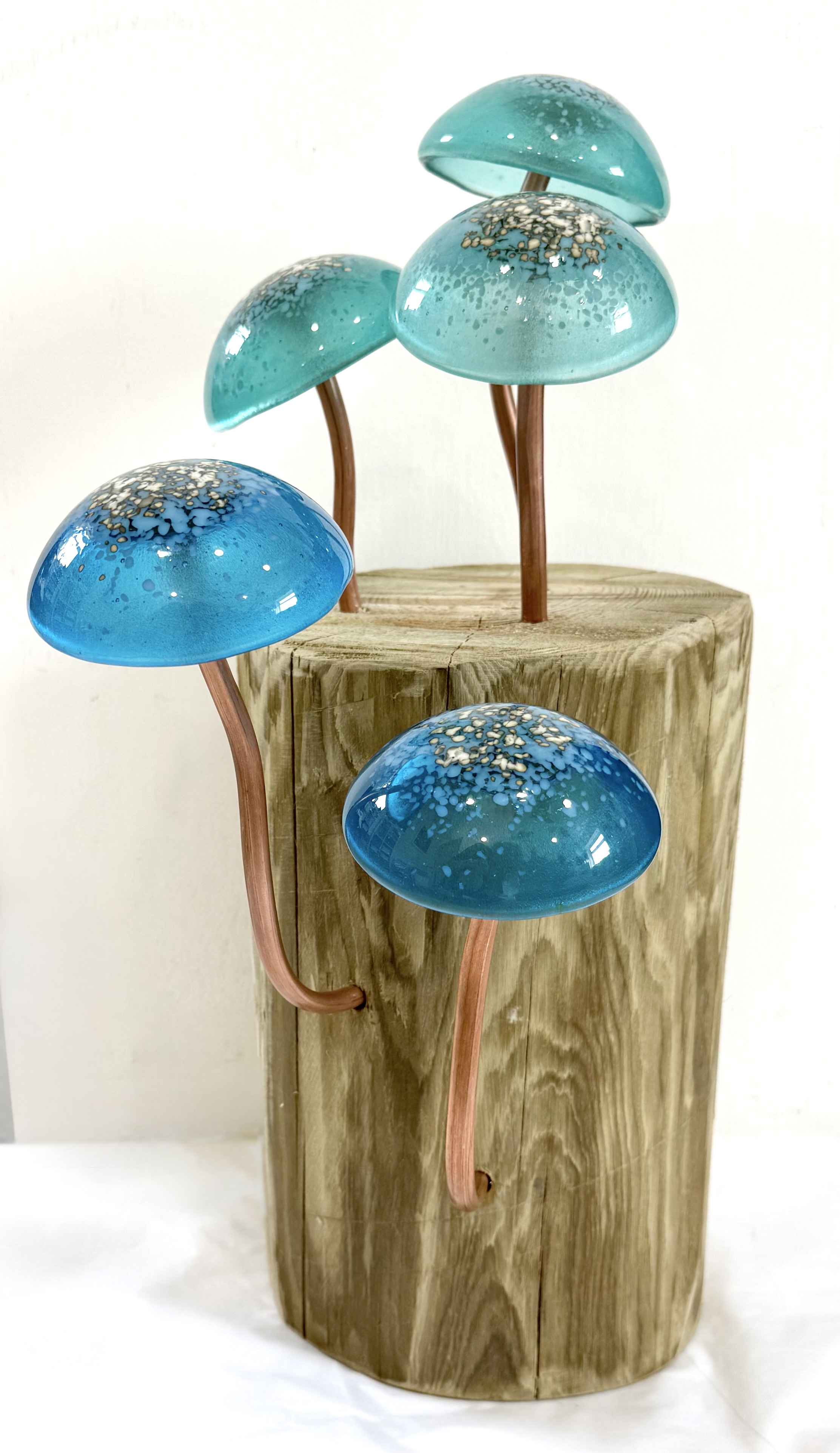 Maree Dethick Jones IMG