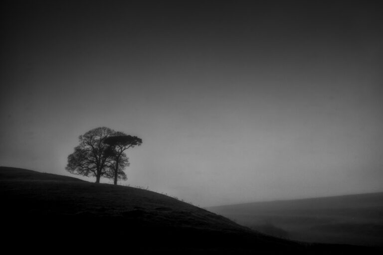 Andrew haydon DSC 1920 Enhanced NR Edit